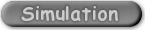 Simulation